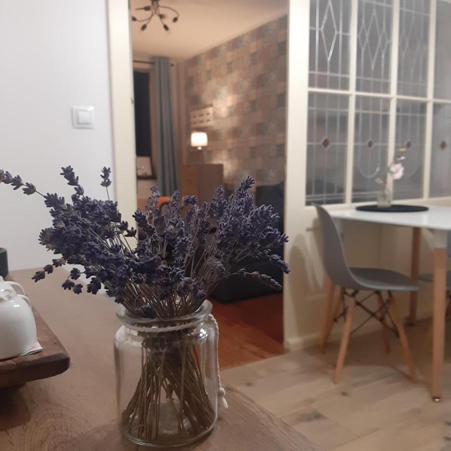 Apartman U Javoru Варнсдорф Екстериор снимка